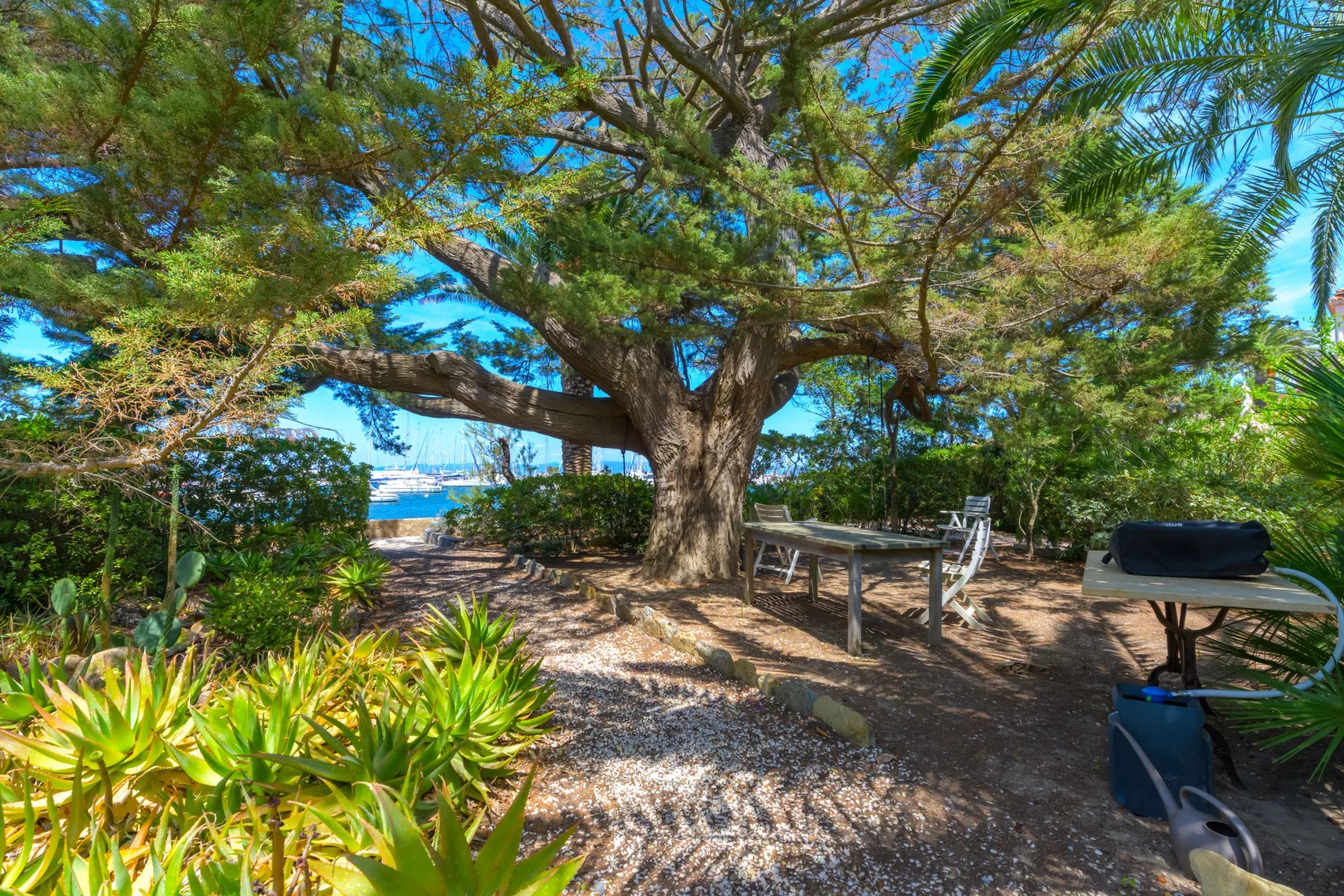 13360979-84918633-10