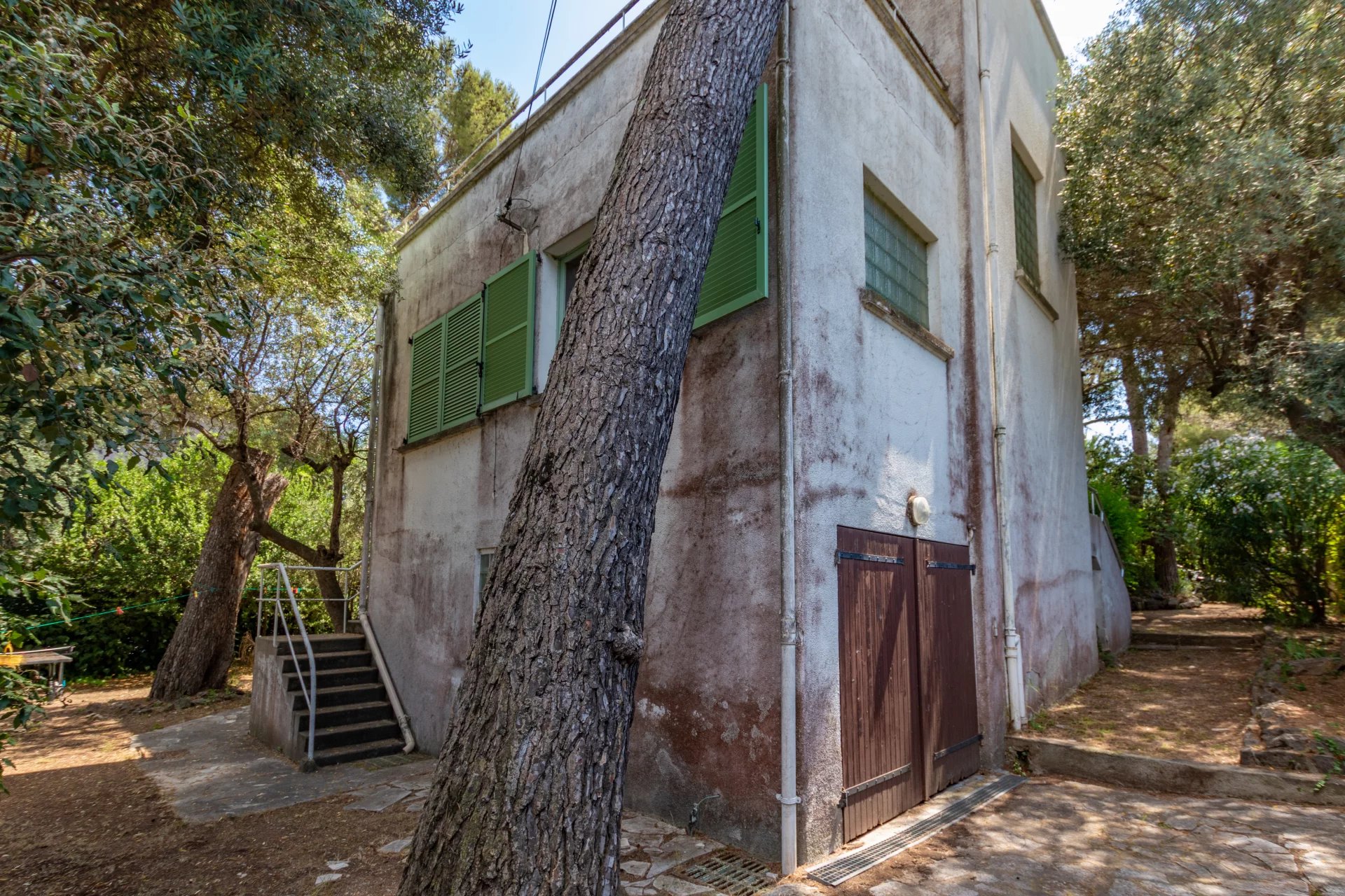 13057810-86089355-10