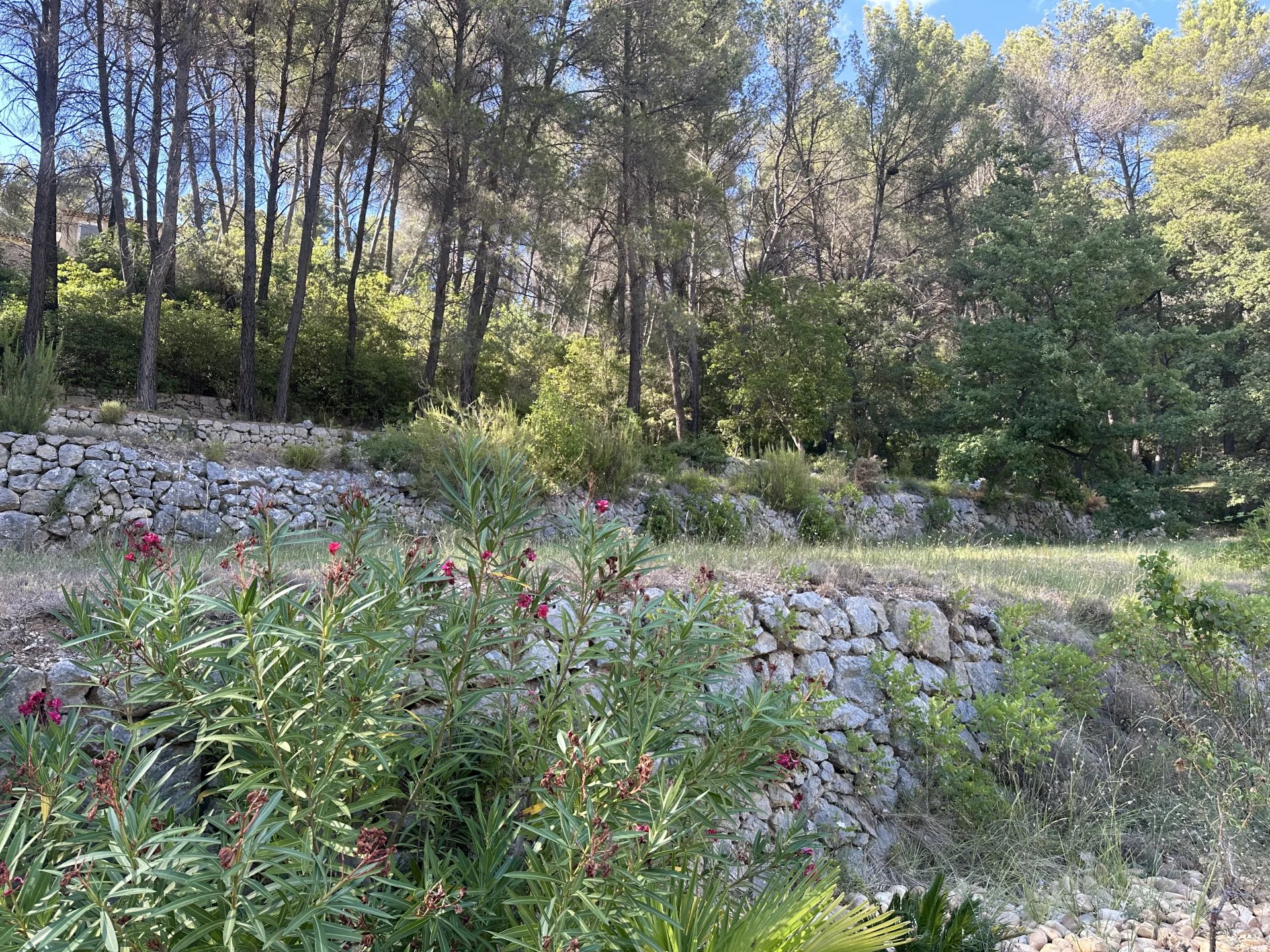 4867764-BVI82175-4