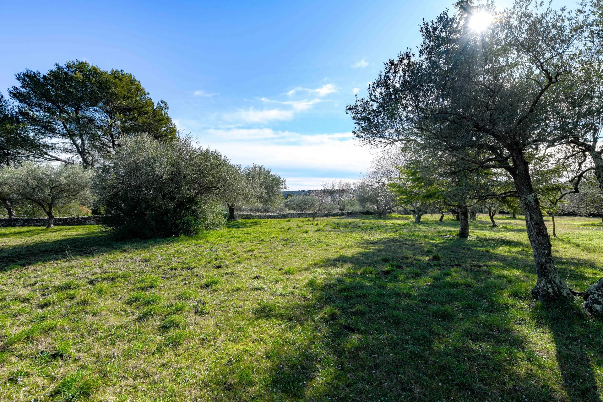 12775417-84223178-10