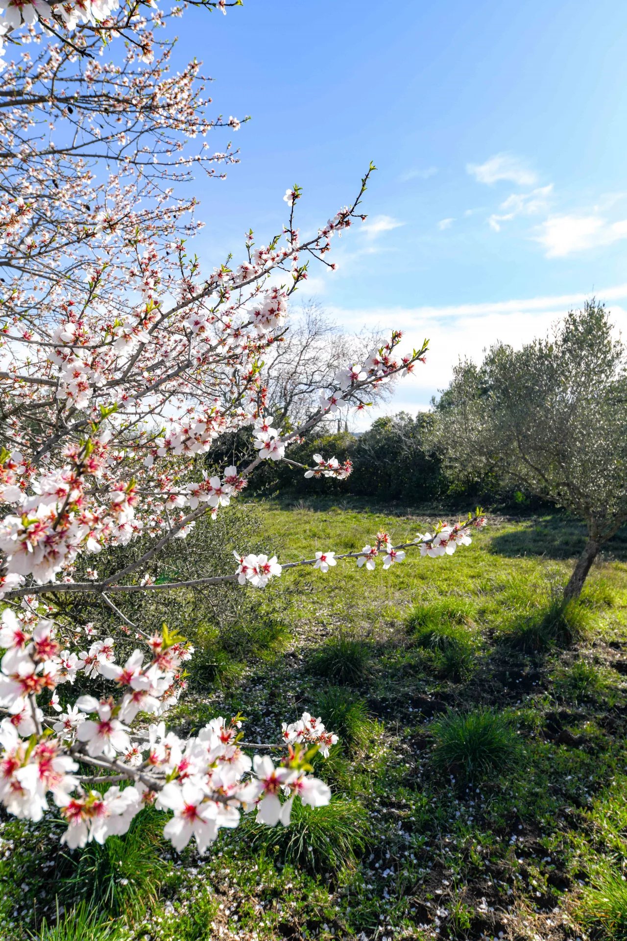 12775417-84223178-11