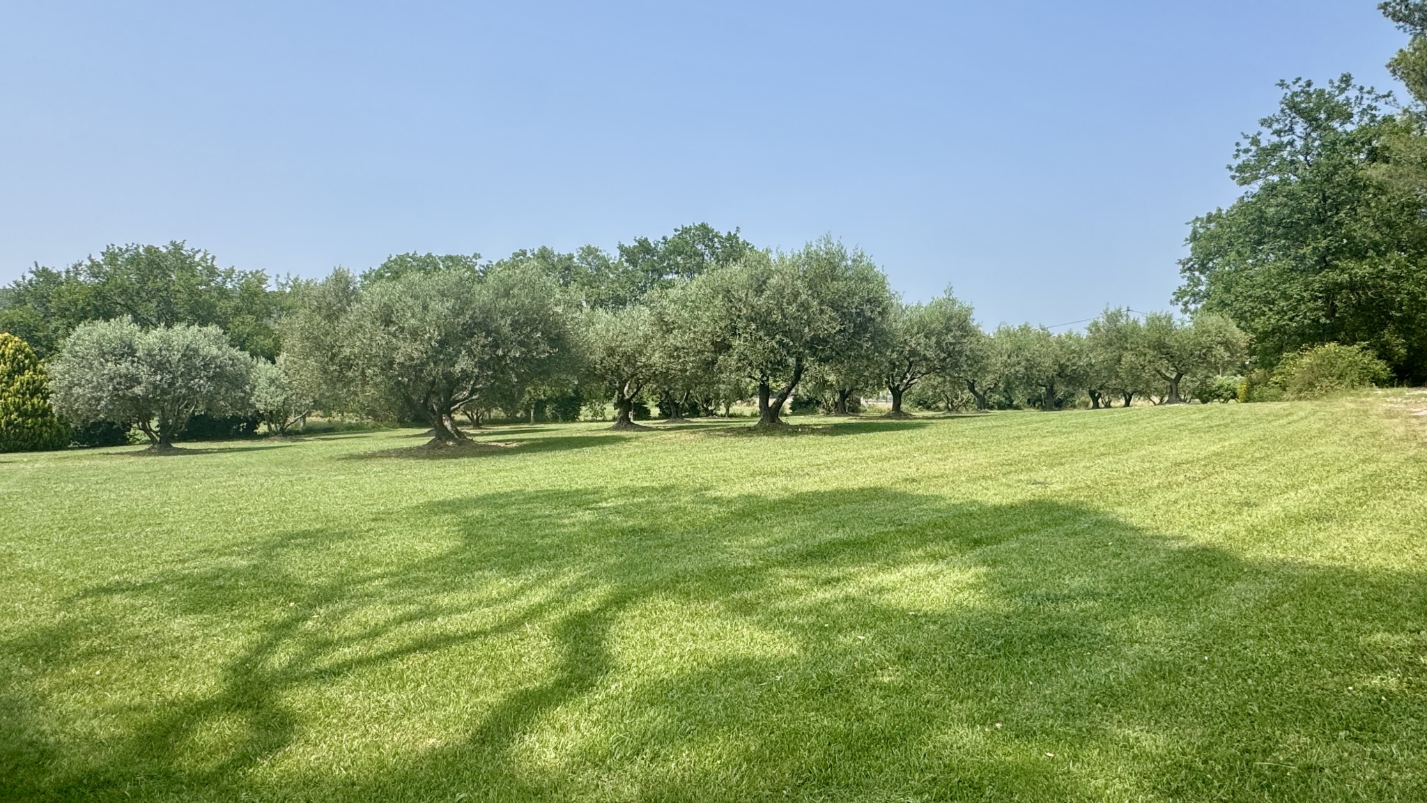 7080597-682V636M-25