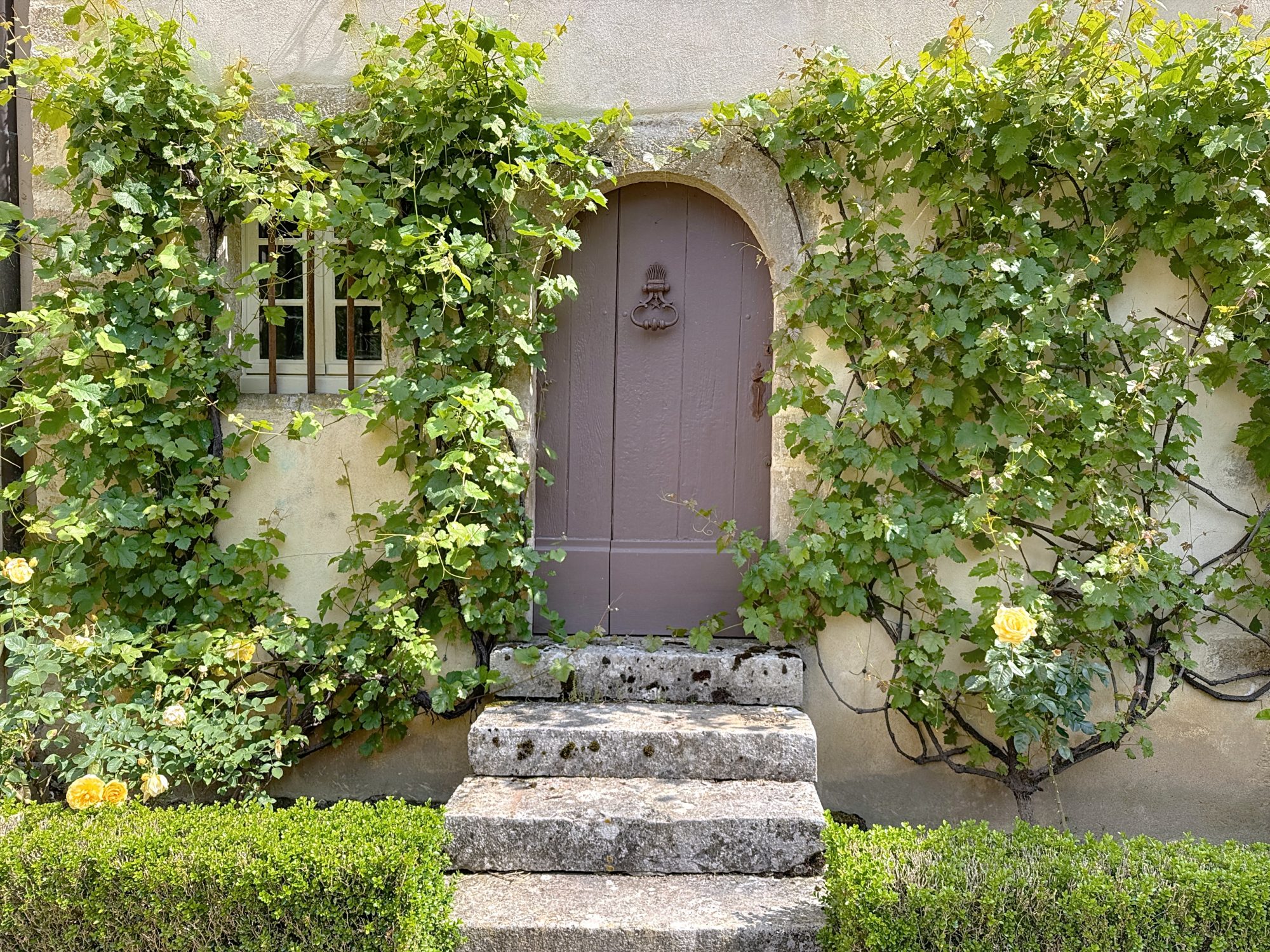 14576560-602-HORIZON-143