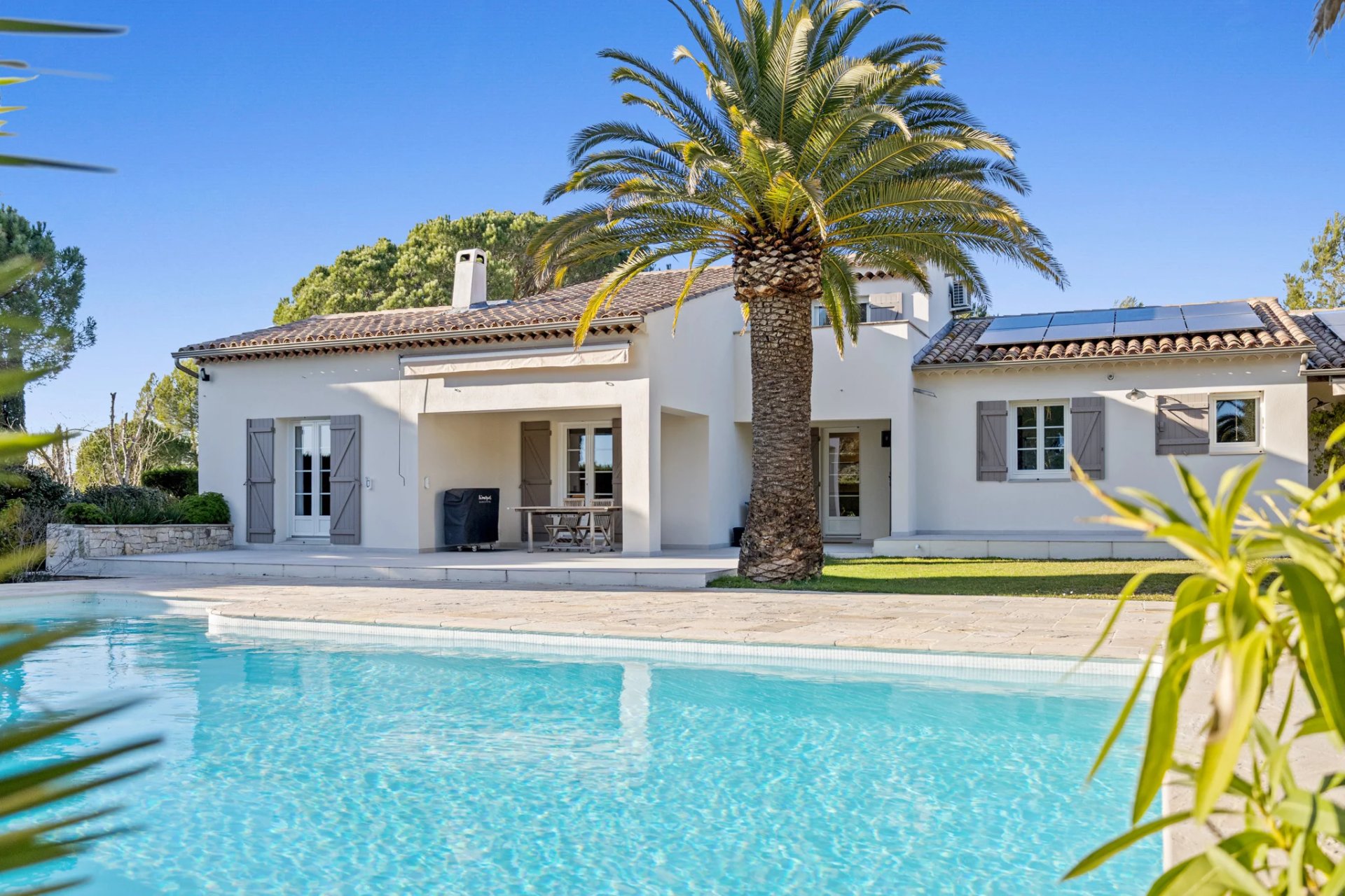 12290937-86636861-15