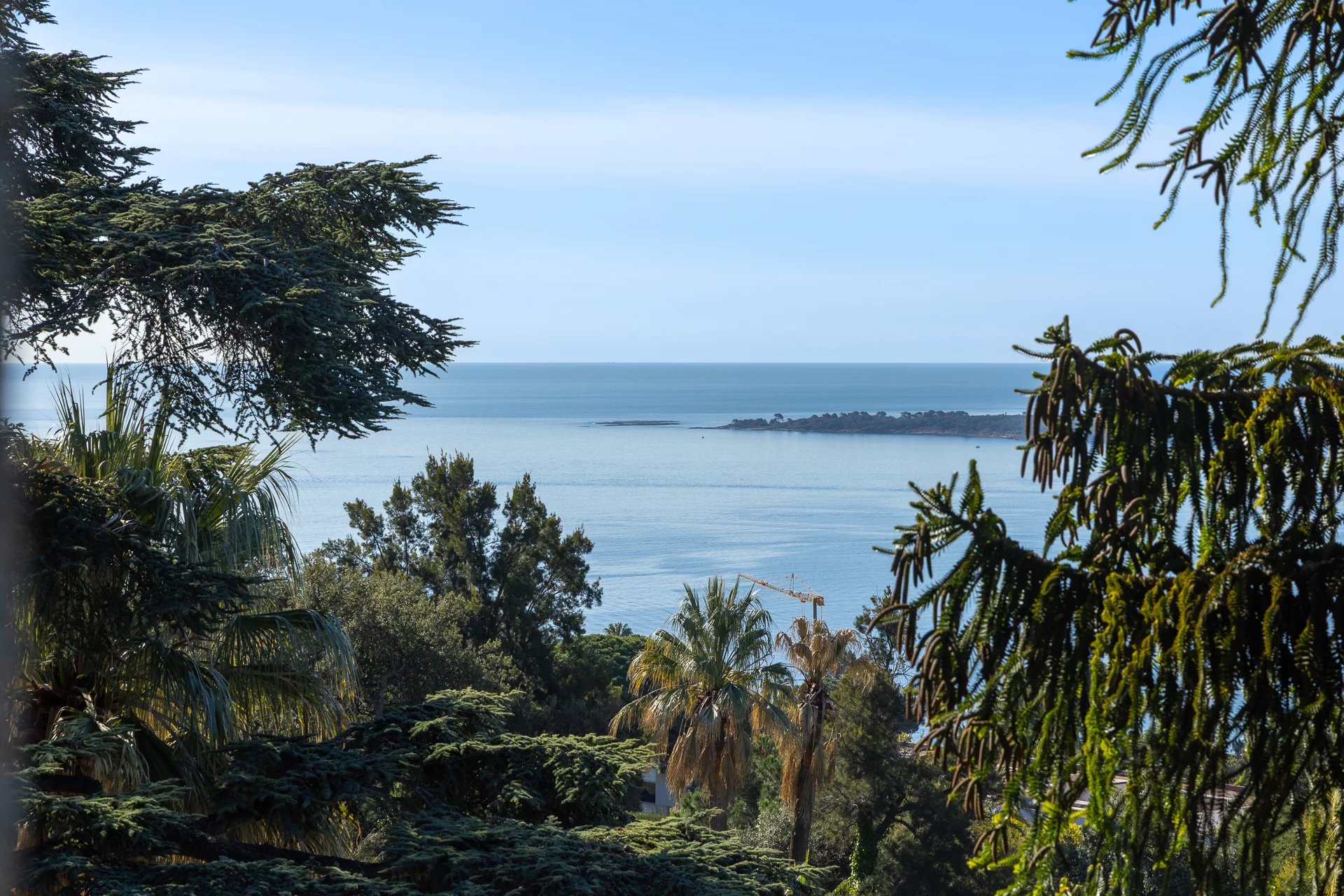 11488044-MZICC4838-41