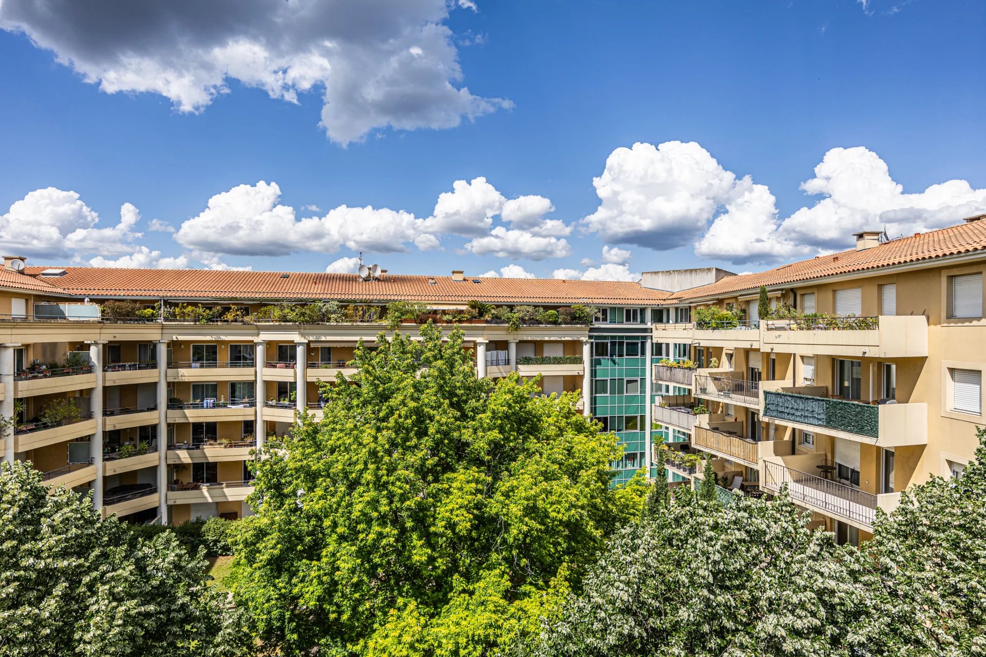 13885567-83836601-17