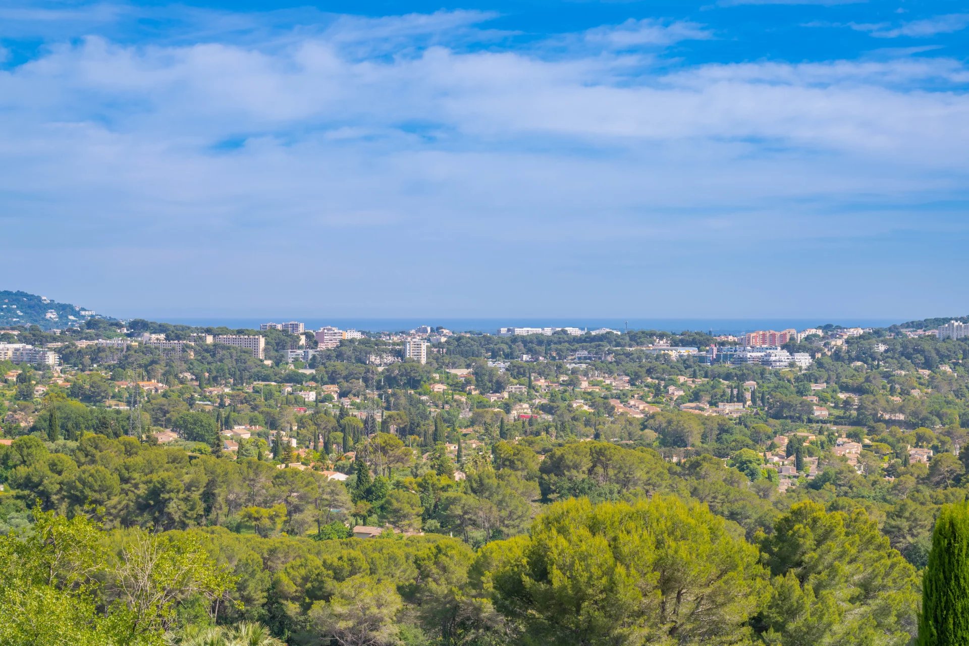 16128716-85933706-10