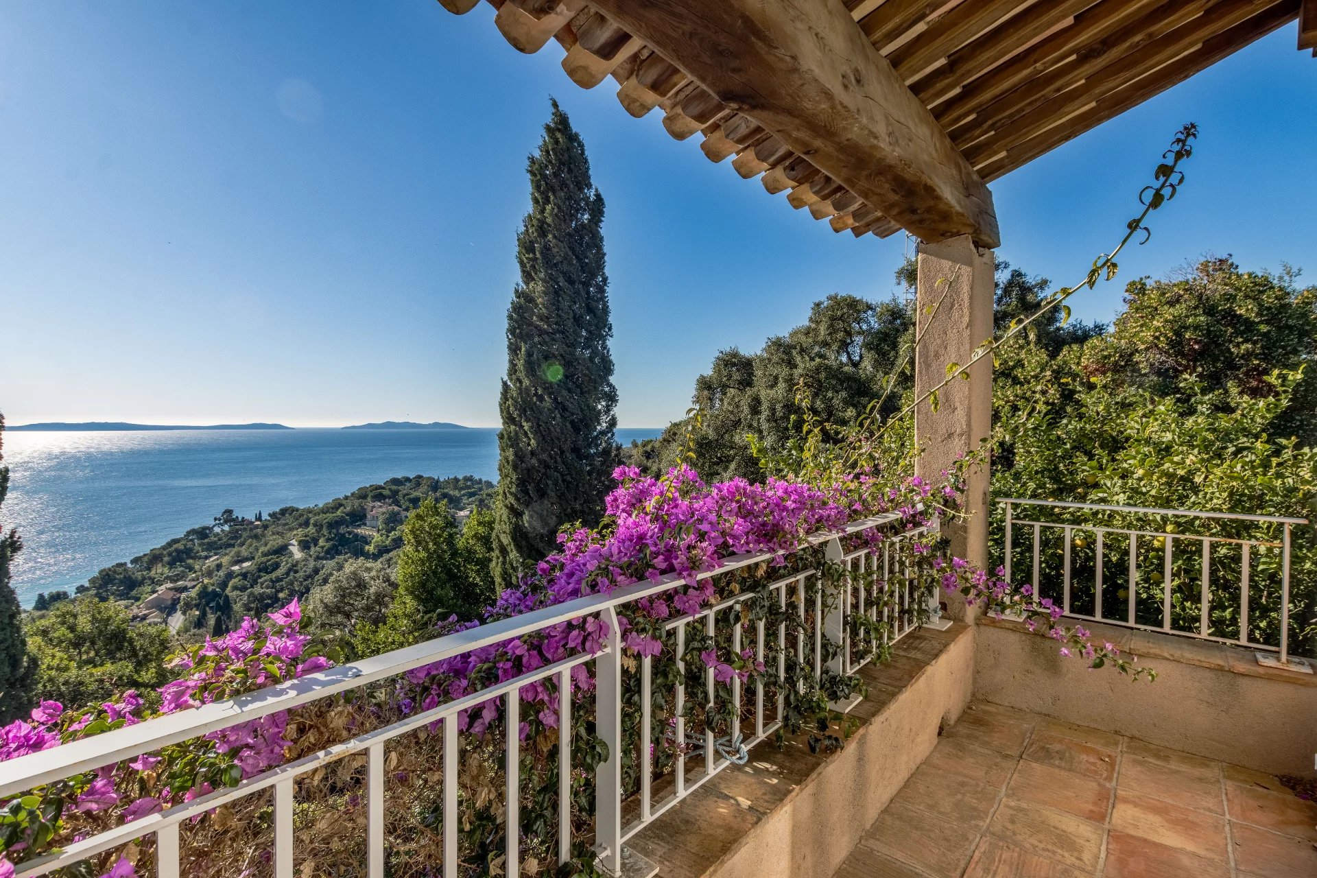 16133950-86341318-1