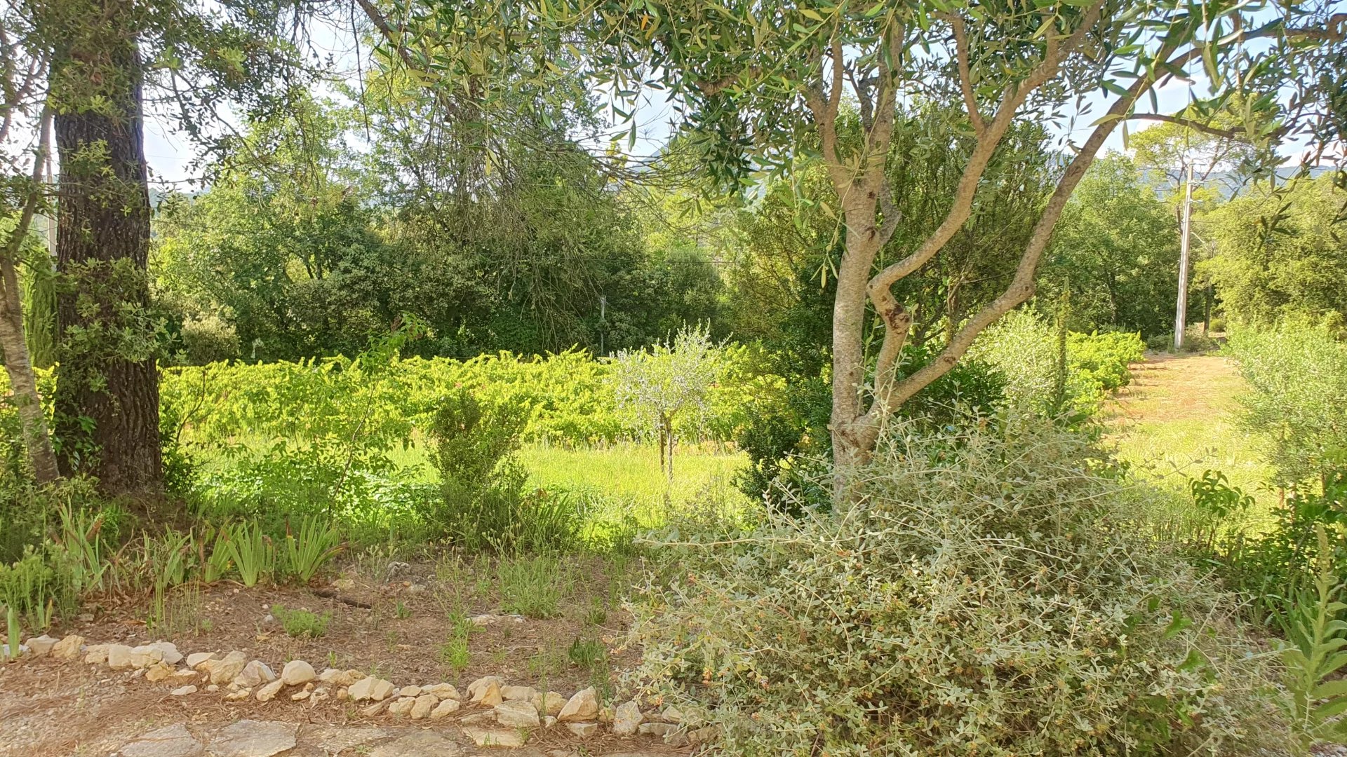 13702249-83026581-11